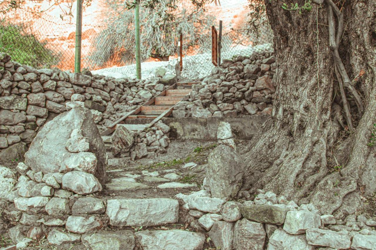 Hobbit Village Dana Exteriör bild
